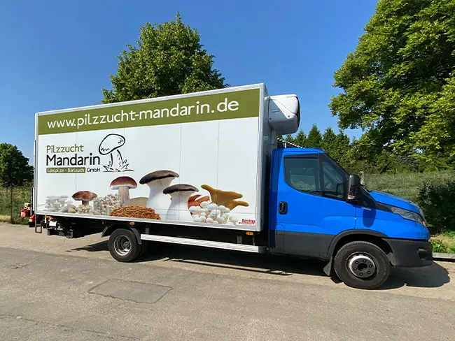 Pilzzucht Mandarin GmbH - Über uns
